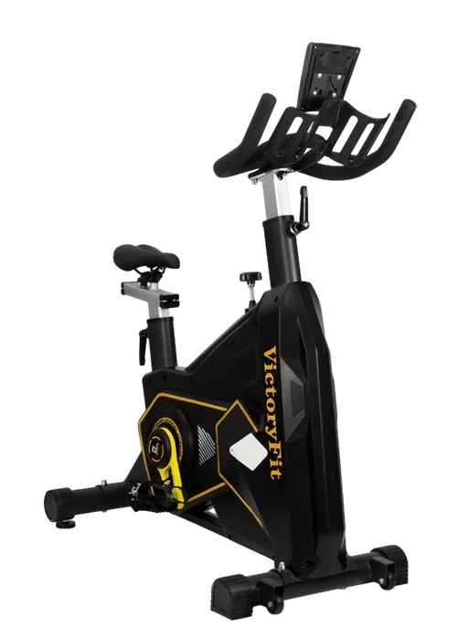 VF-GymRider 225